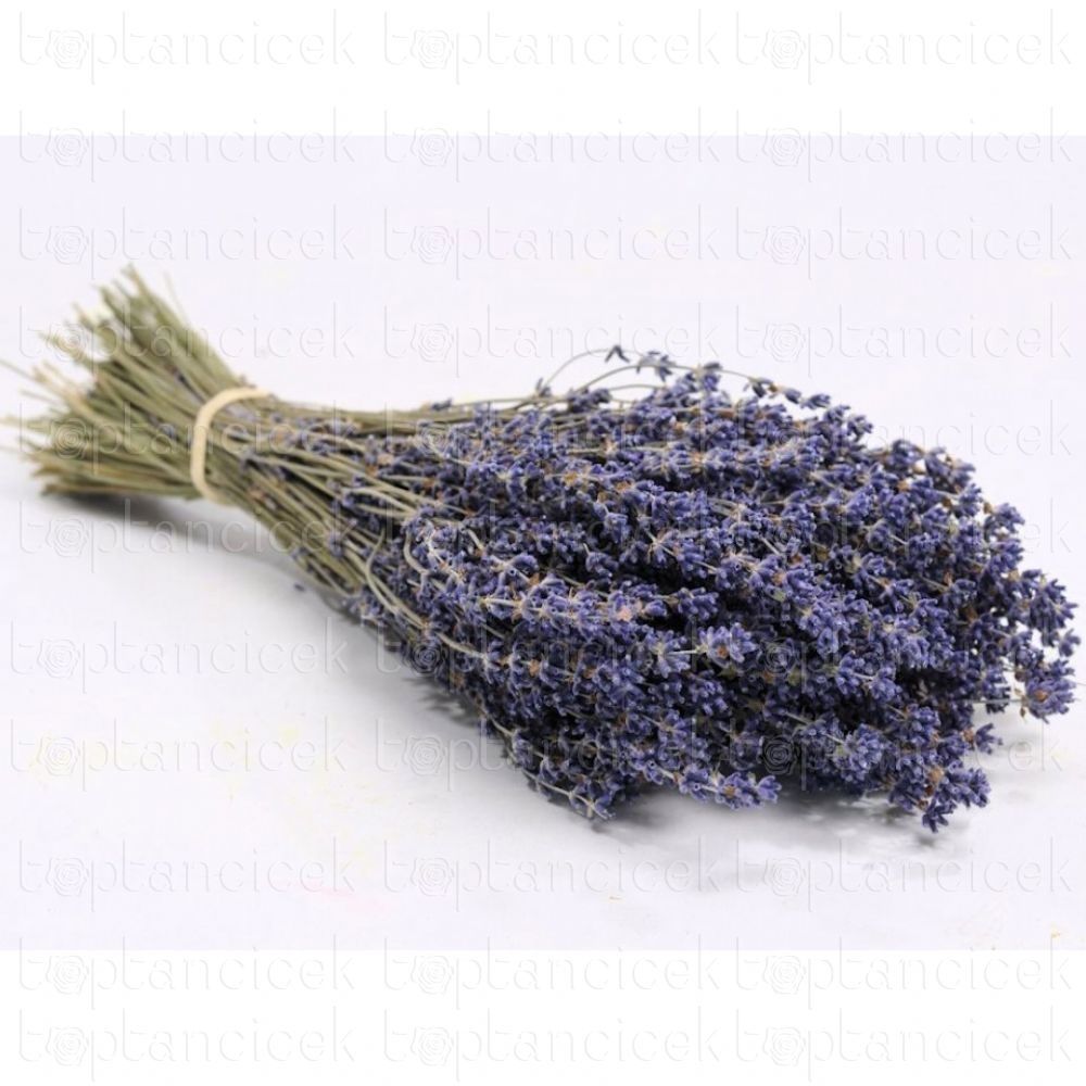 Lavendel dried 100gr