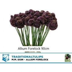  İthal Allium Forelock (10 dal-90 cm)