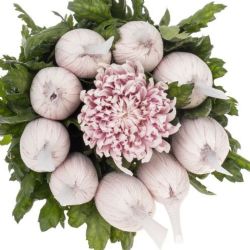  İthal Chrysanthemum G Honeymoon (10 dal-70cm)