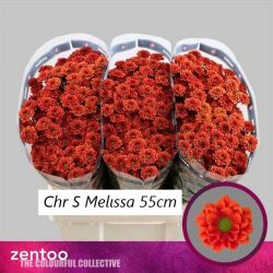  İthal Chrysanthemum S Aaa Melissa (Santini-25 dal-55cm)