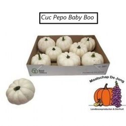  İthal Cucurbita Pepo Baby (Süs Kabağı-1adet)