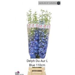  İthal Delphinium El Aurora Blue (10 dal-110cm)