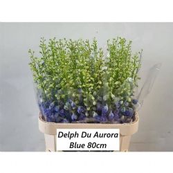  İthal Delphinium El Aurora Blue (10 dal-80cm)
