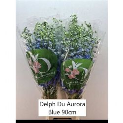  İthal Delphinium El Aurora Blue (10 dal-90cm)