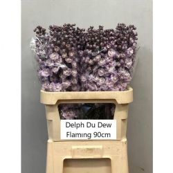  İthal Delphinium El Dew Flaming (10 dal-90cm)