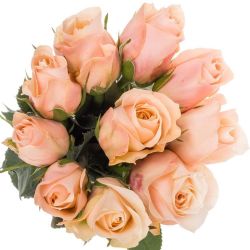  İthal Gül 50 cm Pretty Pillow (10 dal)