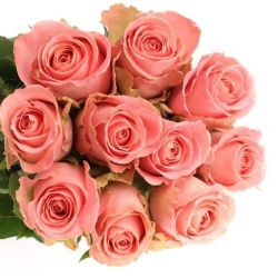  İthal Gül 60 cm Hermosa (10 dal)
