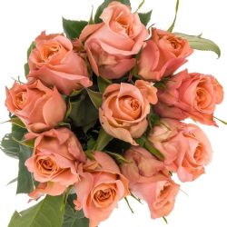 İthal Gül 60 cm Maureen (10 dal)