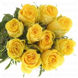  İthal Gül Good Times (10 dal-60cm)