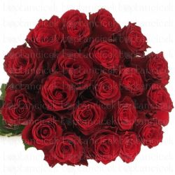  İthal Gül Kırmızı 60 cm Rhodos (10 dal)