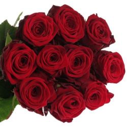  İthal Gül Red Naomi (10 dal-60cm)