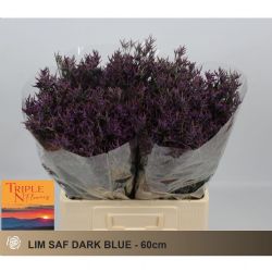  İthal Limonium Saf Dark Blue (25 dal-60 cm)