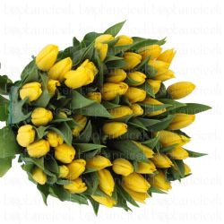  İthal Tulipa EN Strong Gold (Lale-10 dal-37 cm)
