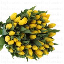  İthal Tulipa En Strong Gold (Lale-50 dal-40cm)