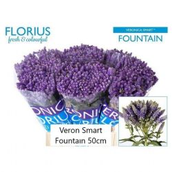  İthal Veron Smart Fountain (20 Dal-50 cm)