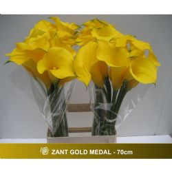  İthal Zantedeschia Gold Medal (Gala-10dal-70 cm)