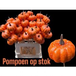  Malzeme Dekoratif Çubuklu Kabak Orange (10 adet-İthal-Boy:60cm)