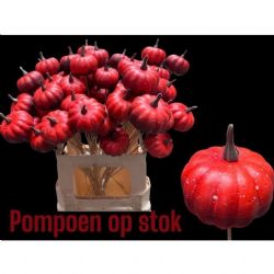 Malzeme Dekoratif Çubuklu Kabak Red (10 adet-İthal-Boy:60cm)
