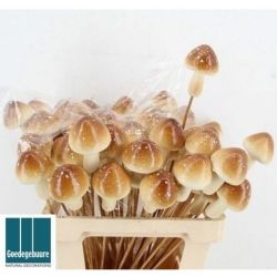  Malzeme Dekoratif Çubuklu Mantar Kahve (10 adet-İthal)