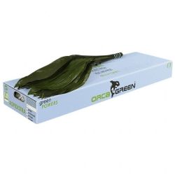 Garnitür Yerli Aspidistra Elatior (50dal-60cm)