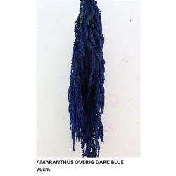 İthal Şoklanmış Amaranthus Overig Dark Blue (1 Demet)