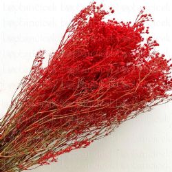 Kuru Çiçek Flocked Gypsophila Red (Kırmızı Flok Kaplama Cipso)