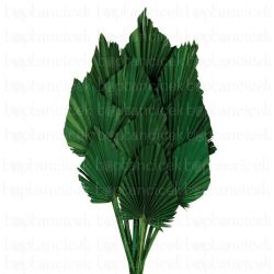Kuru Çiçek İthal C Palm Spear Green (10dal-40-55cm)