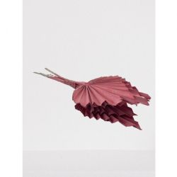 Kuru Çiçek İthal Palm Spear Pink (5dal-50cm)