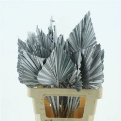 Kuru Çiçek İthal Palm Spear Silver (5dal-60cm)
