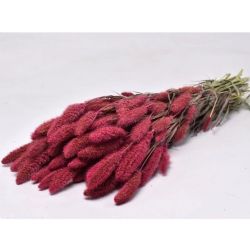 Kuru Çiçek İthal Setaria Roze Pembe (65 cm)