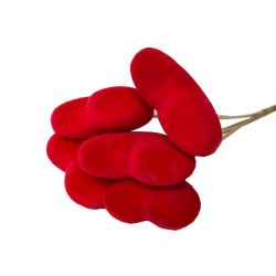 Malzeme Dekoratif Çubuk - Flok Kırmızı Kalp (5adet-İthal-Boy:50 cm)