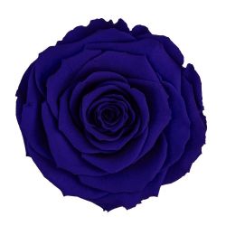 Malzeme Dekoratif Solmayan Gül Ll Blu-03  (İthal-6 adet-6,5 cm)