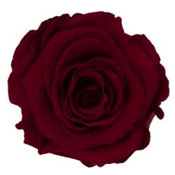 Malzeme Dekoratif Solmayan Gül Ll Red-01  (İthal-6 adet-6,5 cm)