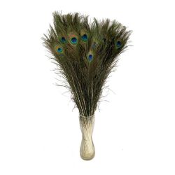 Malzeme Dekoratif Süs Peacock  Feathers 80 cm (İthal-10dal)