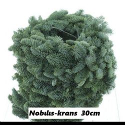 Malzeme Krans Abies Nobilis Kapı Çelengi (İthal-30cm)