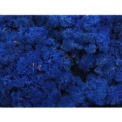 Malzeme Yosun İthal Leacobryum Reindermoss Blauw Mavi (1 kutu-500 GR)