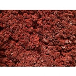 Malzeme Yosun İthal Leacobryum Reindermoss Siena  (5 Kg-1 kutu)