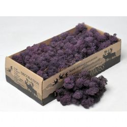 Malzeme Yosun İthal Reindeer Moss Aubergine (500 Gr-1 kutu)