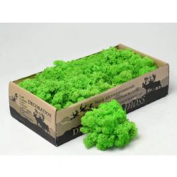 Malzeme Yosun İthal Reindeer Moss Grass Green Light  (500 Gr-1 kutu)