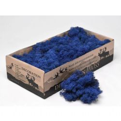 Malzeme Yosun İthal Reindeer Moss Royal Blue (1 kutu-500gr)