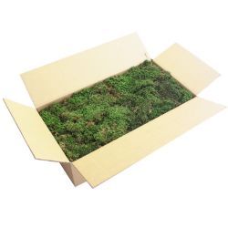 Malzeme Yosun - Kaya Yosunu (1 Kg)
