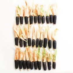 Süs Mısırı (10 adet)