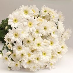 Yerli Biçme Strafor (5 Demet-25 Dal)