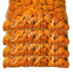 Yerli Cinya Turuncu (1 Paket)