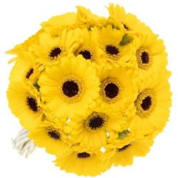 Yerli Gerbera Sarı (20 Dal)