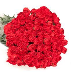 Yerli Karanfil Standart Kırmızı (20 Dal) KAPALI