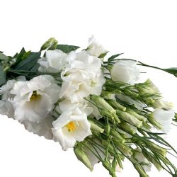 Yerli Lisianthus Beyaz (10 Dal) KALIN