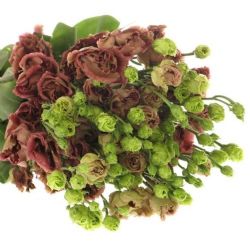 Yerli Lisianthus Cappuccino (10 Dal)